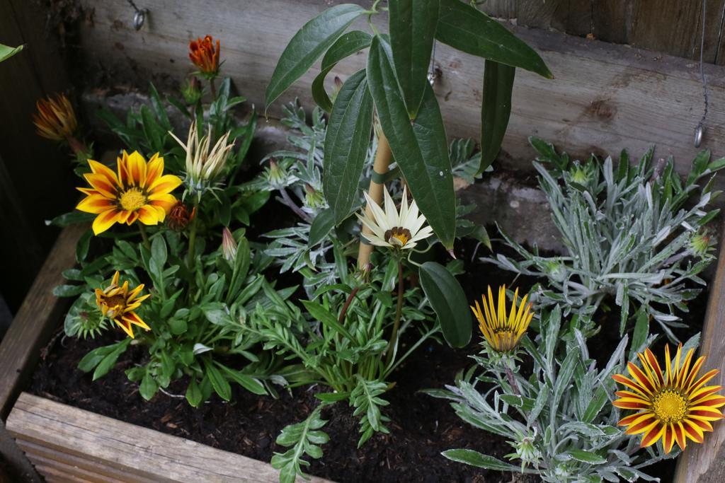 Shoreditch 1 With Garden Λονδίνο Δωμάτιο φωτογραφία