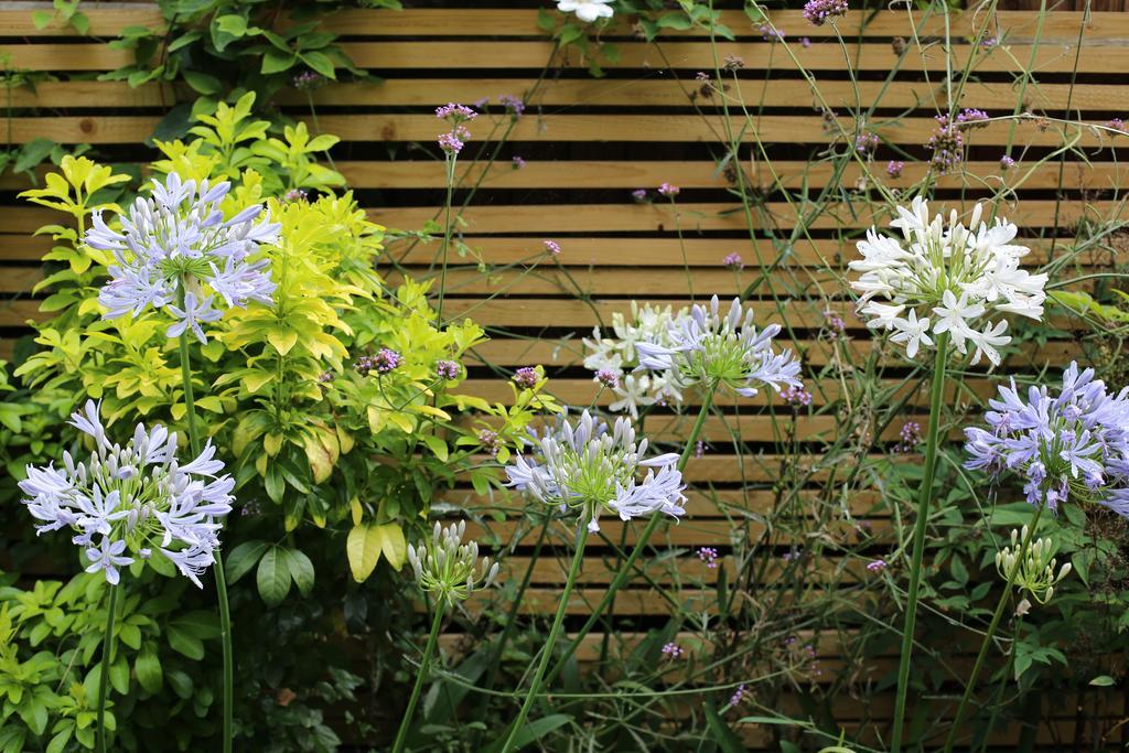 Shoreditch 1 With Garden Λονδίνο Δωμάτιο φωτογραφία